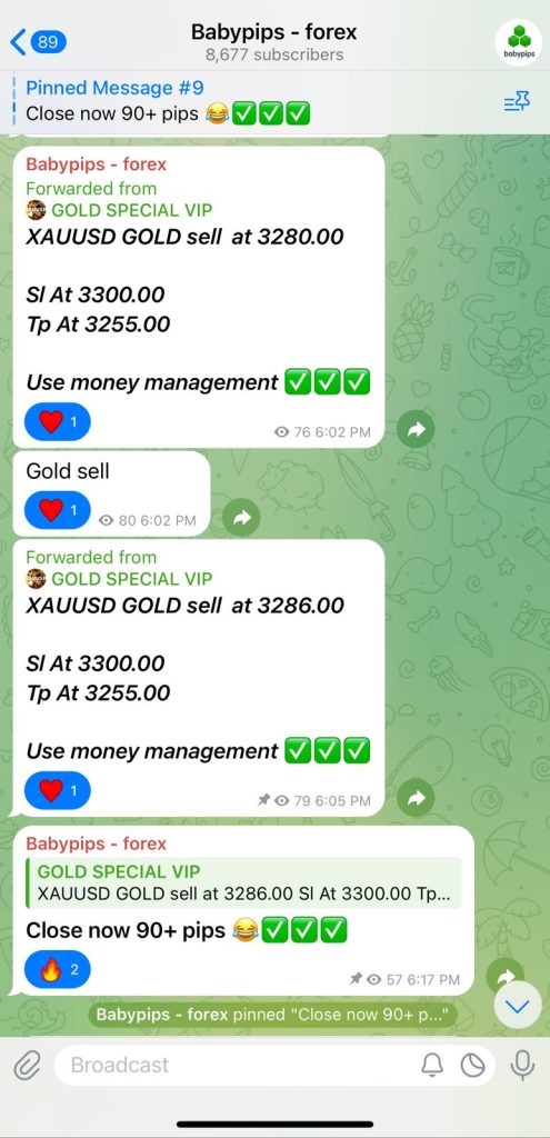 baby pips telegram channel